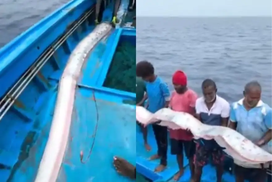 আকৌ আহিব নেকি ছুনামি, ভূমিকম্প !