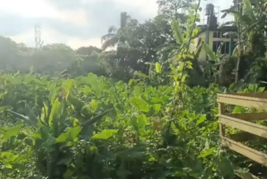 নাজিৰা ৰাজহ চক্ৰ বিষয়াৰ কাৰ্যালয়ৰ কম্পিউটাৰত শূন্য হৈ পৰিল ঐতিহাসিক দেওধাই পুখুৰীৰ জমি : নিৰ্বিকাৰ টাই আহোম জনগোষ্ঠীয় সংগঠন