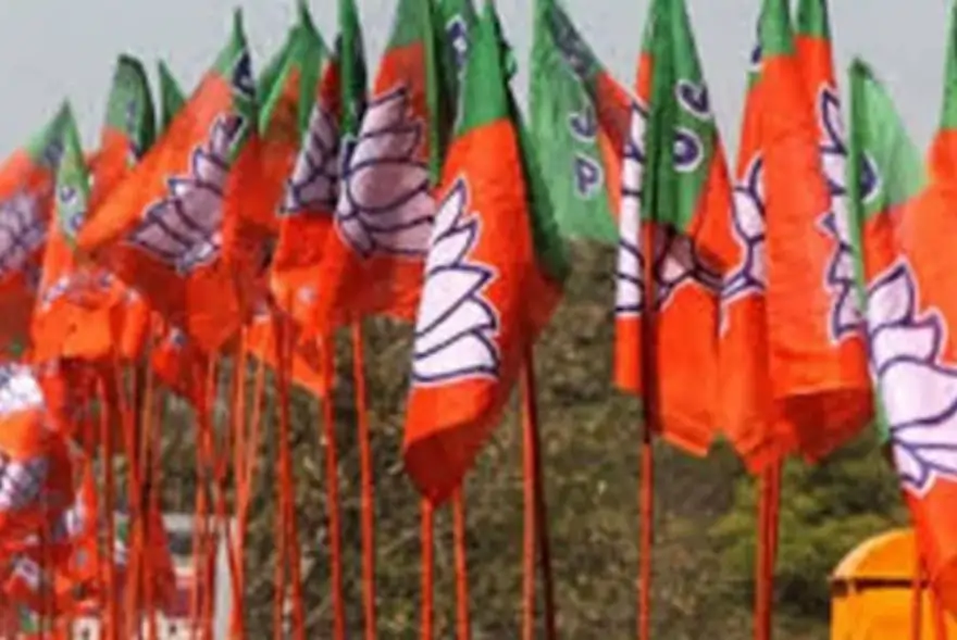 ইটোৰ পিছত সিটো সমষ্টিত বিজেপি প্ৰাৰ্থীৰ জয়লাভ