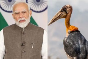 ‘মন কী বাত’ত অসমৰ হাড়গিলাৰ প্ৰসংগ; পূৰ্ণিমা দেৱী বৰ্মনক ভূয়সী প্ৰশংসা প্ৰধানমন্ত্ৰীৰ