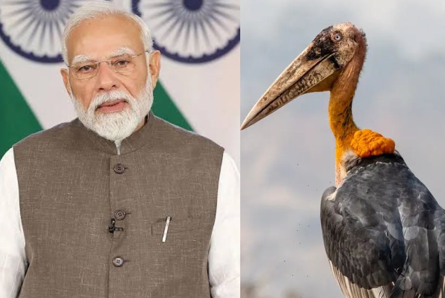 ‘মন কী বাত’ত অসমৰ হাড়গিলাৰ প্ৰসংগ; পূৰ্ণিমা দেৱী বৰ্মনক ভূয়সী প্ৰশংসা প্ৰধানমন্ত্ৰীৰ