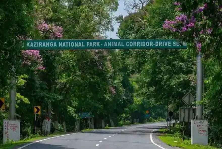 কাজিৰঙা ৰাষ্ট্ৰীয় উদ্যানৰ মাজেৰে পাৰ হওতে সাৱধান;BNSS ৰ ১৬৩ ধাৰা জাৰি