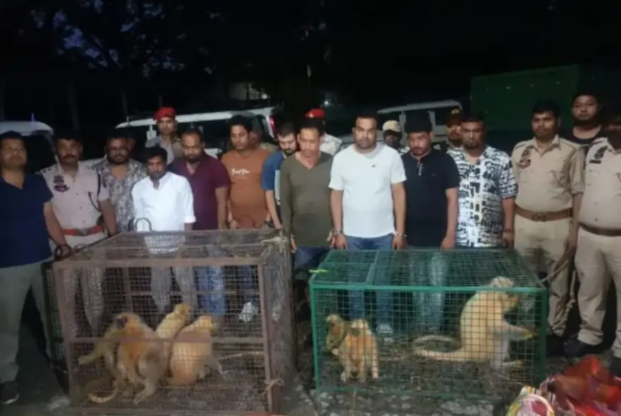 অসমৰ বিপন্ন বন্যপ্ৰাণীৰ ওপৰত চকু বাংলাদেশীৰ; এছ টি এফৰ জালত ৯ সৰবৰাহকাৰী