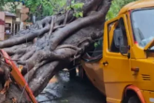 স্কুল বাছৰ ওপৰত গছ বাগৰি ছাত্ৰৰ কৰুণ মৃত্যু, হাহাকাৰ পৰিস্থিতি