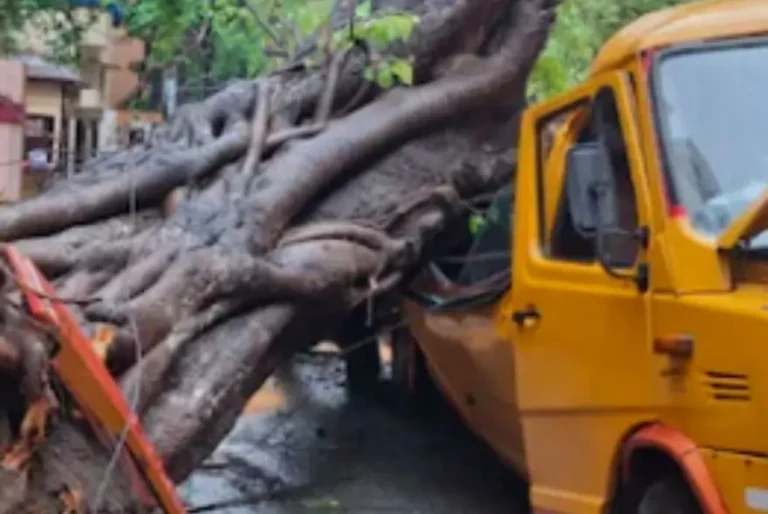 স্কুল বাছৰ ওপৰত গছ বাগৰি ছাত্ৰৰ কৰুণ মৃত্যু, হাহাকাৰ পৰিস্থিতি