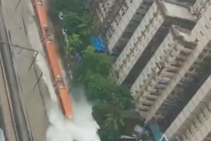 মায়ানগৰীত বানৰ তাণ্ডৱ, সামাজিক মাধ্যমত ভাইৰেল ভিডিঅ’ক লৈ চৰ্চা
