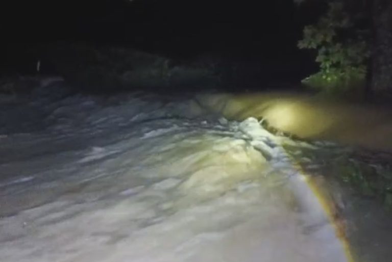 উজনি অসমত বানৰ তাণ্ডৱ: সেনাৰ ‘অপাৰেচন জল ৰাহাট’ আৰম্ভ
