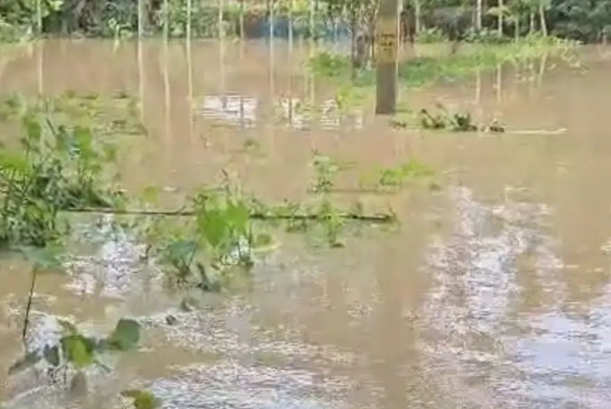 উজনিৰ ৪ জিলাত ভয়াৱহ বান পৰিস্থিতি, মুকলি হেল্পলাইন নম্বৰ