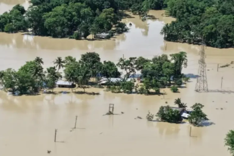ৰাজ্যত অব্যাহত বলিয়া বানৰ সংহাৰ, মৃত্যুৰ সংখ্যা ৪১লৈ বৃদ্ধি