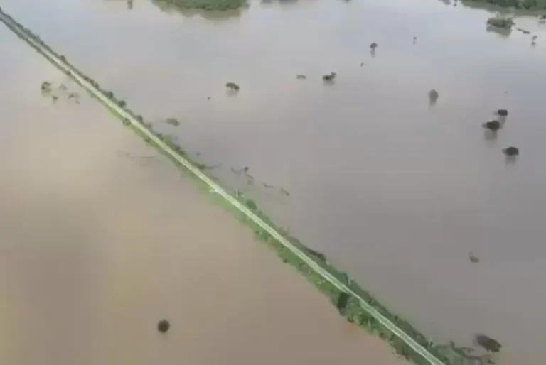 অসমত বানৰ ভয়াৱহ ৰূপ: ১২ খন জিলা প্লাবিত, ক্ৰমাৎ ওফন্দিছে ব্ৰহ্মপুত্ৰ-দিখৌৰ বুকু