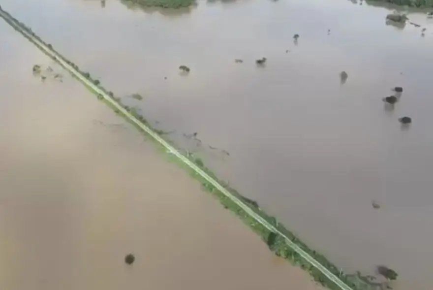 অসমত বানৰ ভয়াৱহ ৰূপ: ১২ খন জিলা প্লাবিত, ক্ৰমাৎ ওফন্দিছে ব্ৰহ্মপুত্ৰ-দিখৌৰ বুকু