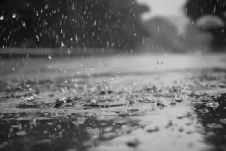 অহা ৩-৪ দিন ৰাজ্যত ধাৰাসাৰ বৰষুণৰ সতৰ্কবাণী: হাই এলাৰ্ট জাৰি