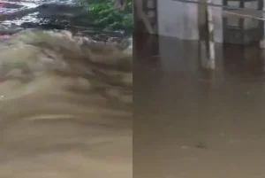 নেৰানেপেৰা বৰষুণৰ ফলত বৃদ্ধি পাইছে বানৰ আশংকাঃ প্ৰশাসনৰ জৰুৰী সতৰ্কবাণী