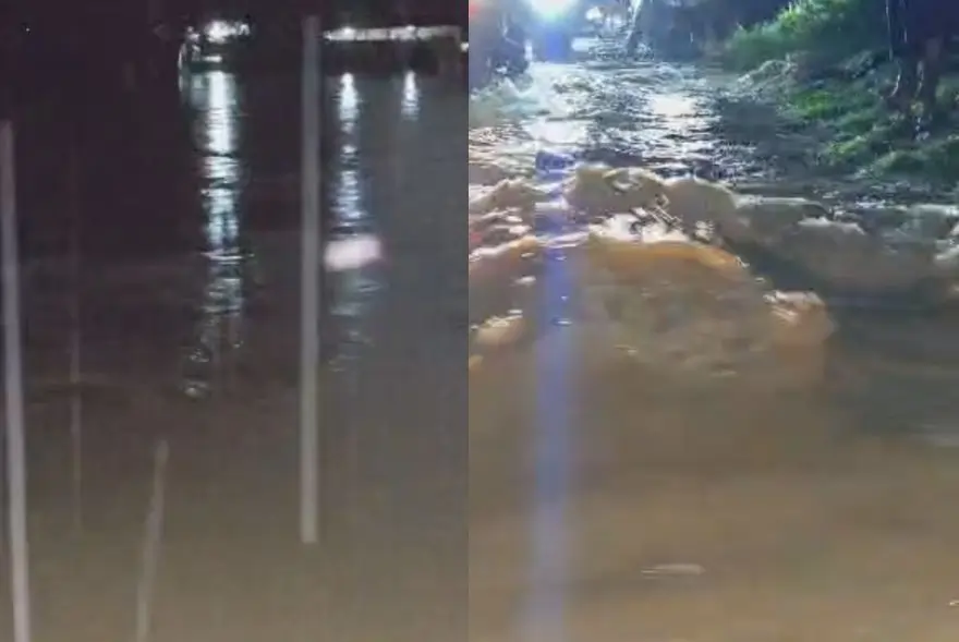উজনিত বানৰ কালৰূপঃ শিৱসাগৰ-যোৰহাট-চৰাইদেউত হাহাকাৰ!